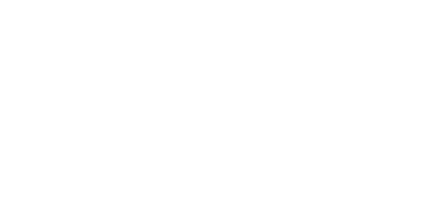 ConsuoNetworks.Logo.KO
